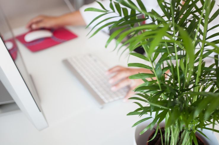 maite_m_s-telework-5046230_1920.jpg